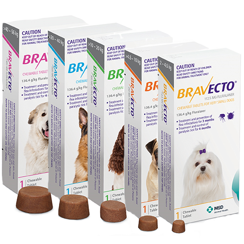 bravecto